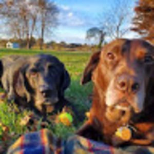 Meet your Posher, Kathleen